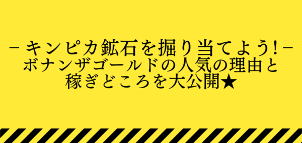 ボナンザゴールドの解説ページのトップ画像